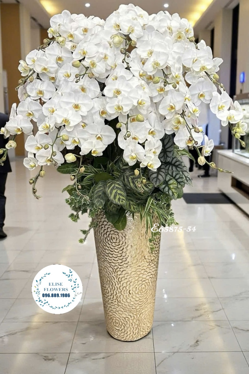 Chậu lan hồ điệp trắng khổng lồ chúc mừng giám đốc. Dịch vụ giao chậu lan uy tín, đảm bảo