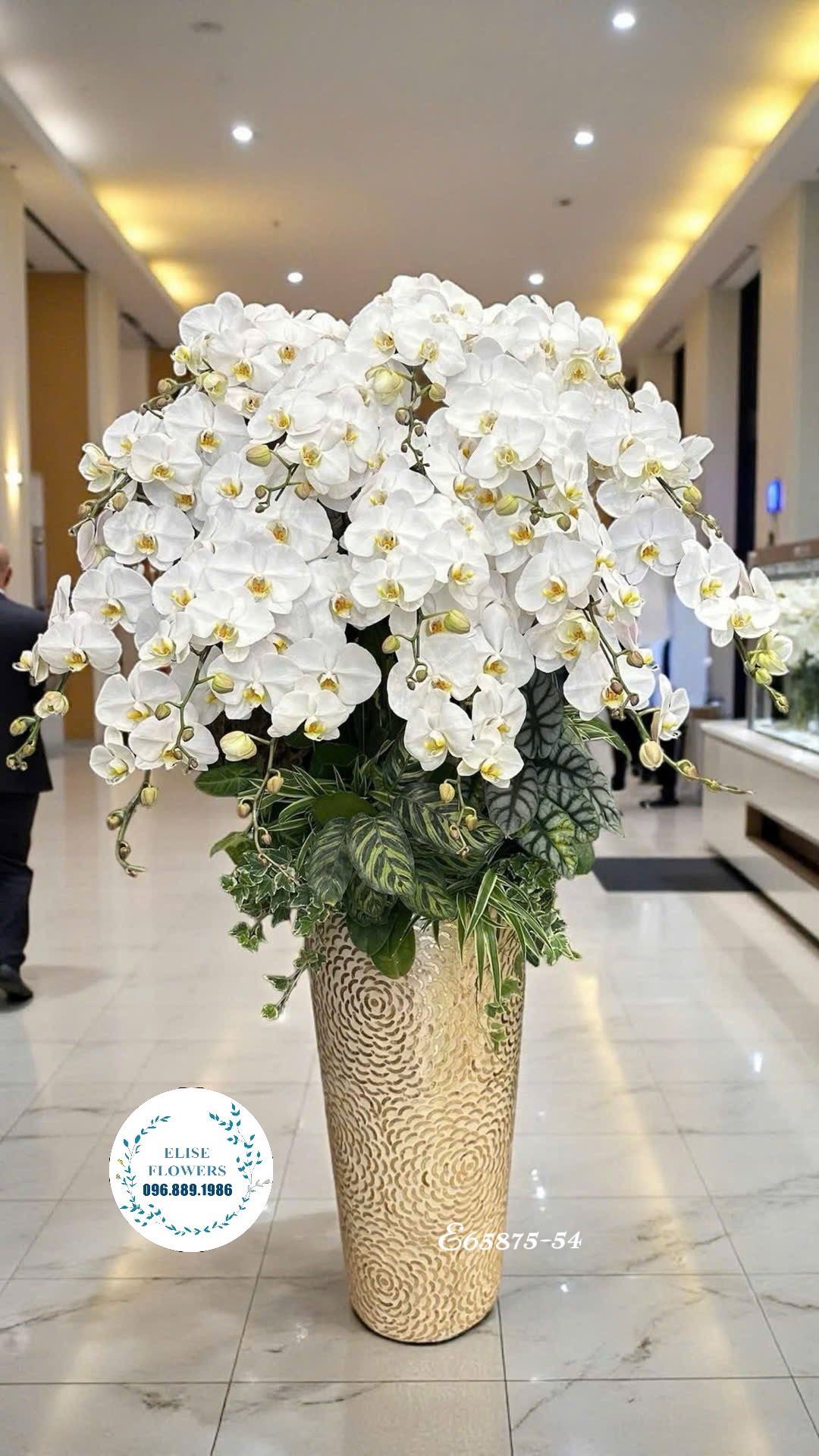 Lan hồ điệp Hà Nội. Hoa chúc mừng giám đốc ở Nam Từ Liêm. Địa chỉ mua hoa uy tín