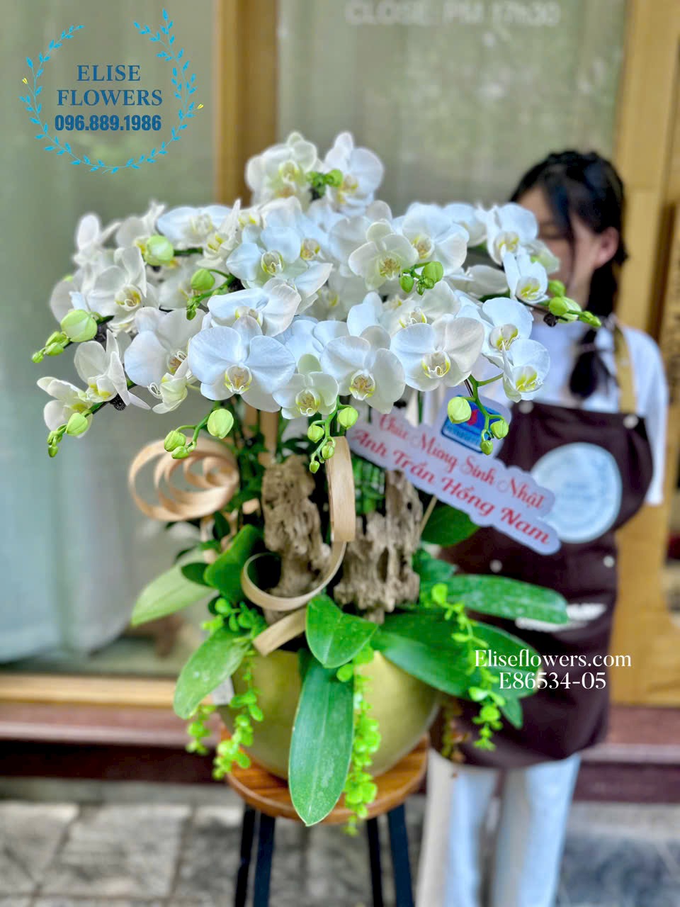 Mua chậu lan hồ điệp trắng cao cấp, sang trọng ở Hà Nội. Địa chỉ mua lan hồ điệp uy tín, chất lượng