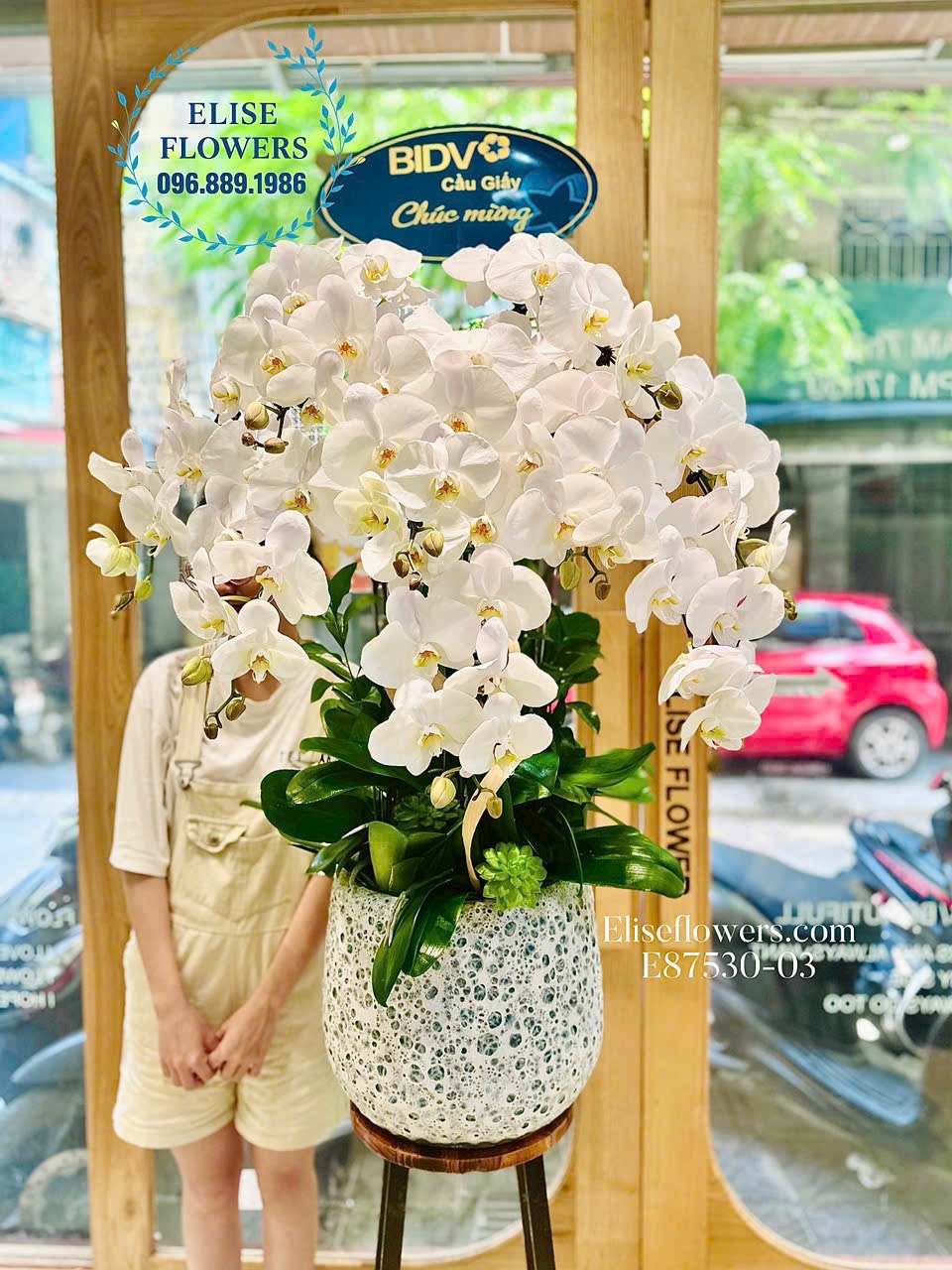 Lan hồ điệp trắng cao cấp tinh khôi, sang trọng chúc mừng đối tác. Điạ chỉ mua lan hồ điệp uy tín