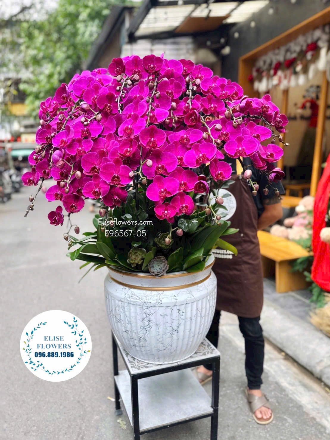 Lan hồ điệp Hà Nội. Chậu lan hồ điệp tím chưng đại sảnh cao cấp. Giao hoa hoả tốc tại quận Thanh Xuân