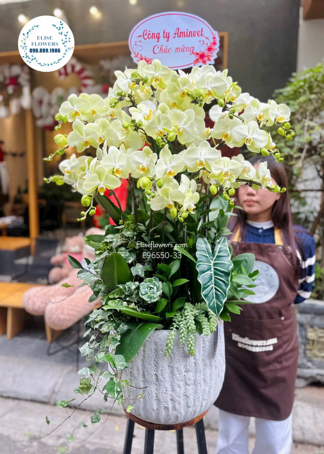 Lan hồ điệp Hà Nội. Chậu lan hồ điệp xanh táo chúc mừng kỉ niệm thành lập công ty. Eliseflowers