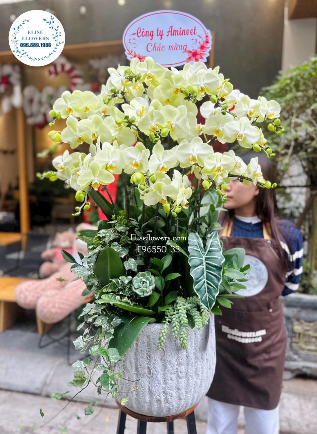 Lan hồ điệp Hà Nội. Chậu lan hồ điệp xanh táo chúc mừng kỉ niệm thành lập công ty
