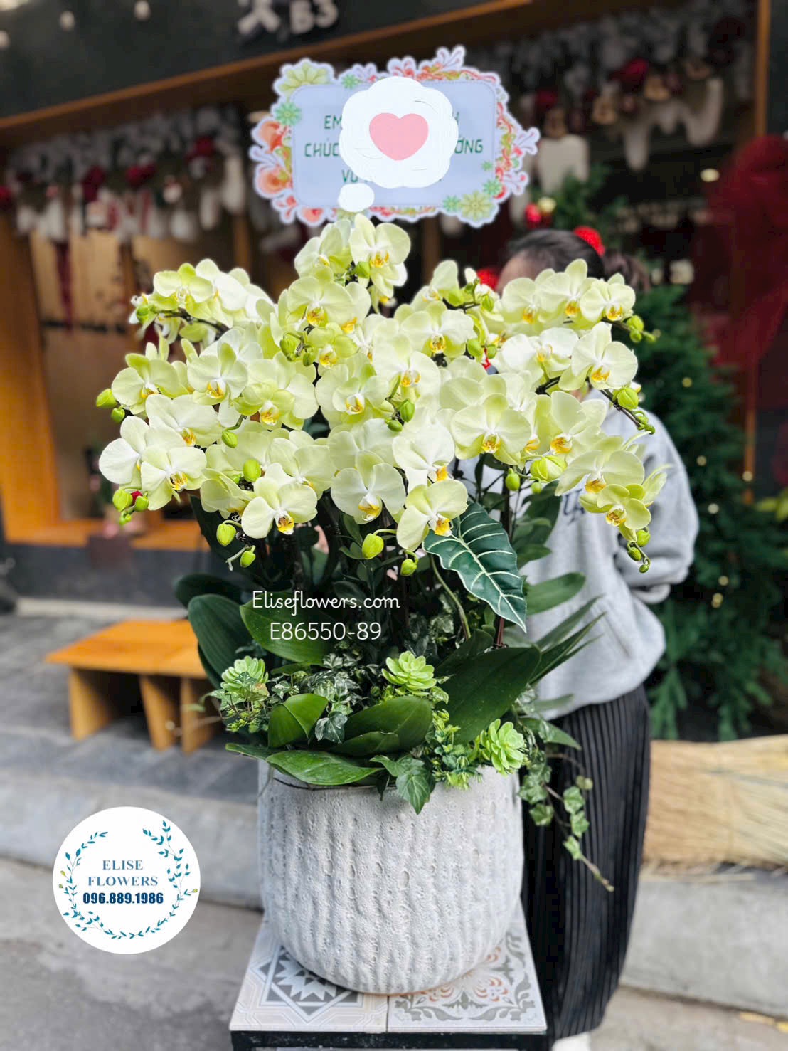 Lan hồ điệp Hà Nội. Chậu lan hồ điệp xang táo sang trọng mừng khai trương phát đạt