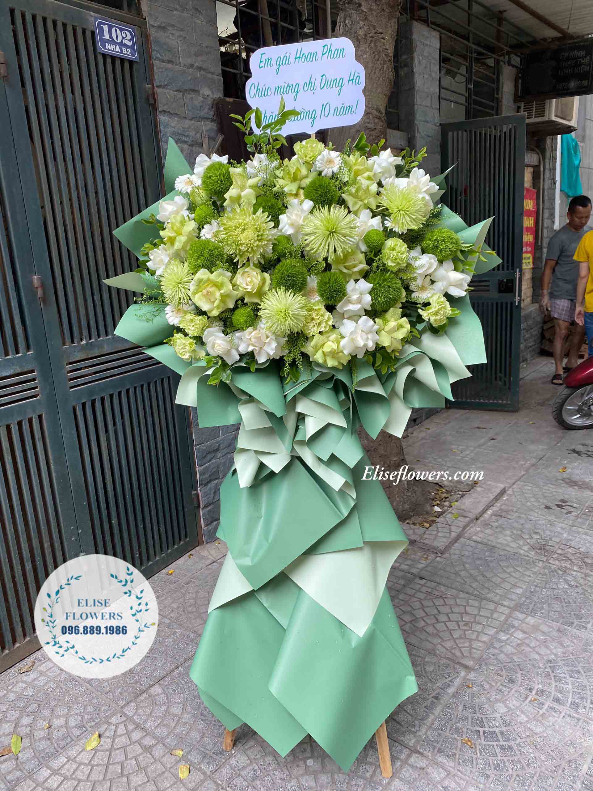 Cây hoa khai trương màu xanh lá - Hoa khai tương đẹp quận Cầu Giấy - Hà Nội