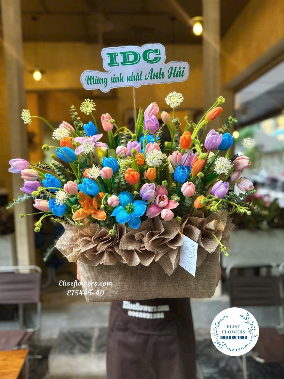 Đặt mua hoa Tulip Hà Lan nhập khẩu. Dịch vụ đặt hoa Tulip online
