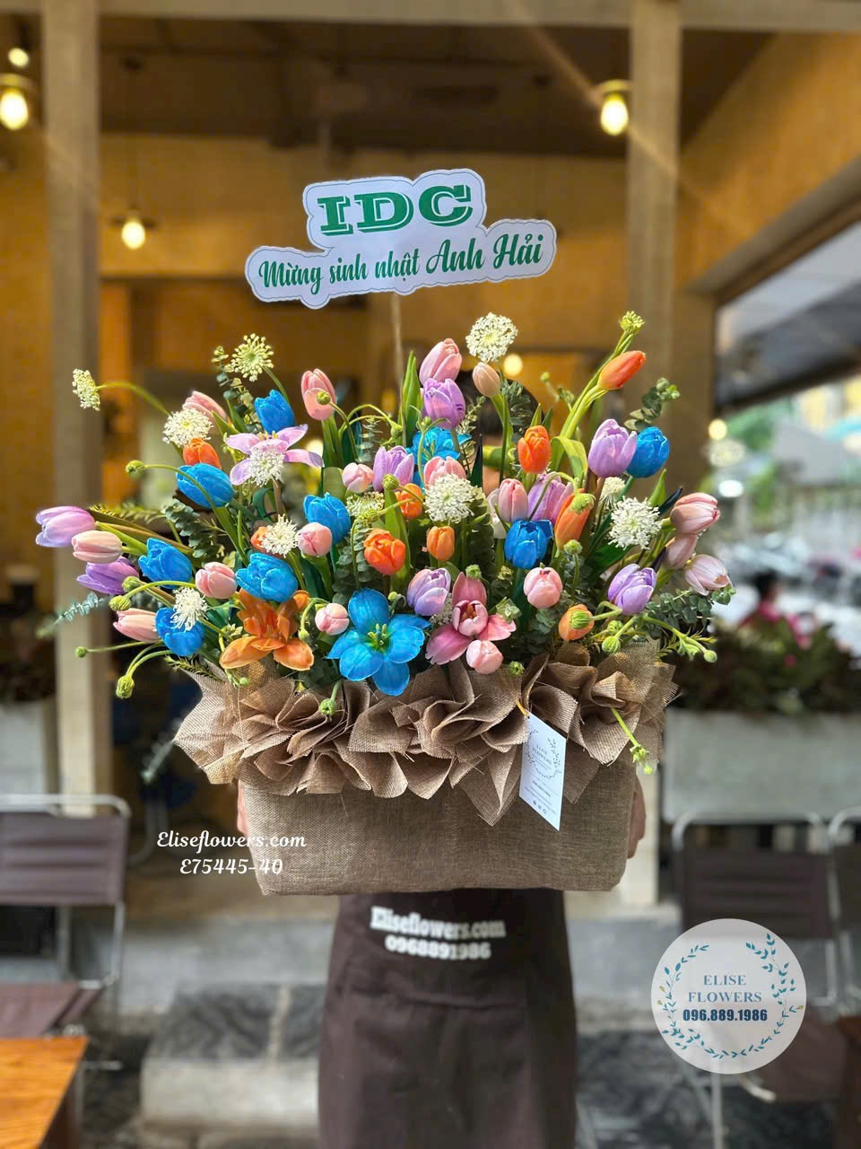 Mua lẵng hoa Tulip nhiều màu đẹp ở HÀ NỘI. Giao hoa Tulip quận Cầu Giấy - Hà Nội