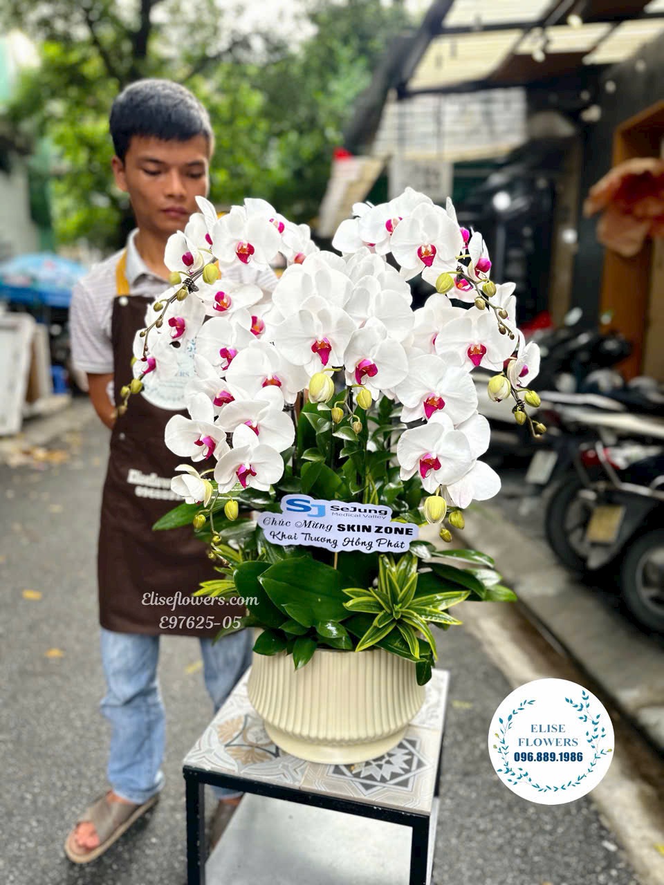 Chậu lan hồ điệp trắng 7 cành lưỡi hồng cao cấp tặng tặng tân gia. Điện hoa Hà Nội - Eliseflowers
