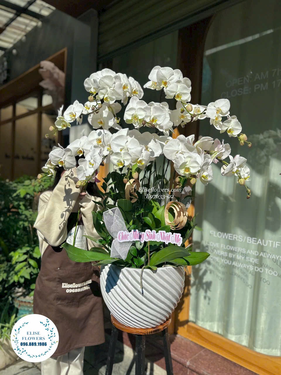 hậu lan hồ điệp cao cấp chúc mừng khai trương. Địa chỉ mua lan hồ điệp uy tín - Eliseflowers.