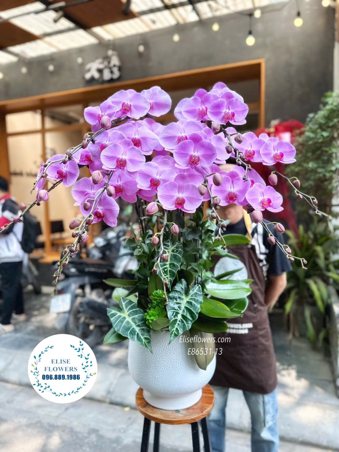 Đặt mua chậu lan hồ điệp tím. Lan hồ điệp Hà Nội. Lan hồ điệp sinh nhật. Dịch vụ giao hoa tận nơi, nhanh chóng