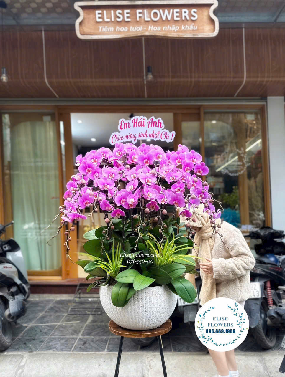 Dịch vụ đặt hoa lan hồ điệp tặng 22/12. Giao hoa chúc mừng ngày 22/12