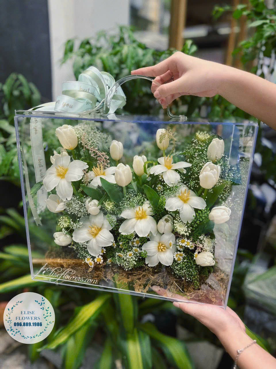 Mua-vali-hoa-Tulip-trang-dep-tai-quan-Cau-Giay-Ha-Noi-Mua-vali-hoa-Tulip-dep-o-Ha-Noi