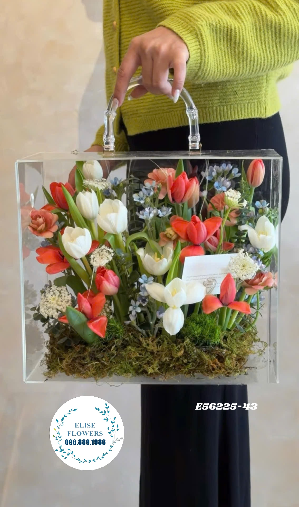 Hộp hoa Tulip nhập khẩu. Hoa Tulip trắng mix đỏ. Quà sinh nhật ý nghĩa