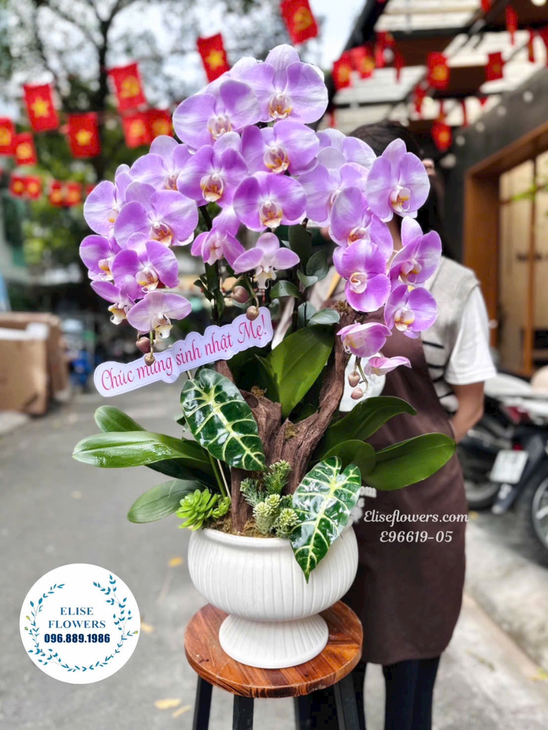 Chậu Lan Hồ Điệp Tím Cao Cấp Tặng Mẹ- Món Quà Ý Nghĩa Và Sang Trọng