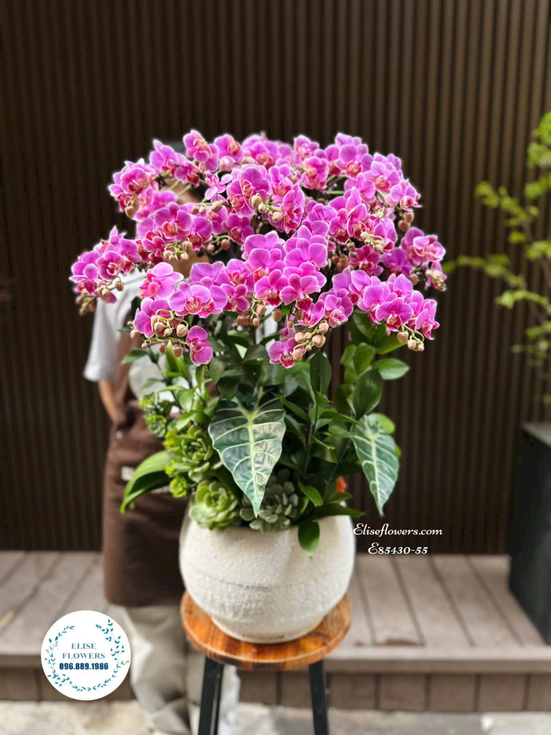 Chậu lan hồ điệp tím sang trọng làm quà tặng| Eliseflowers