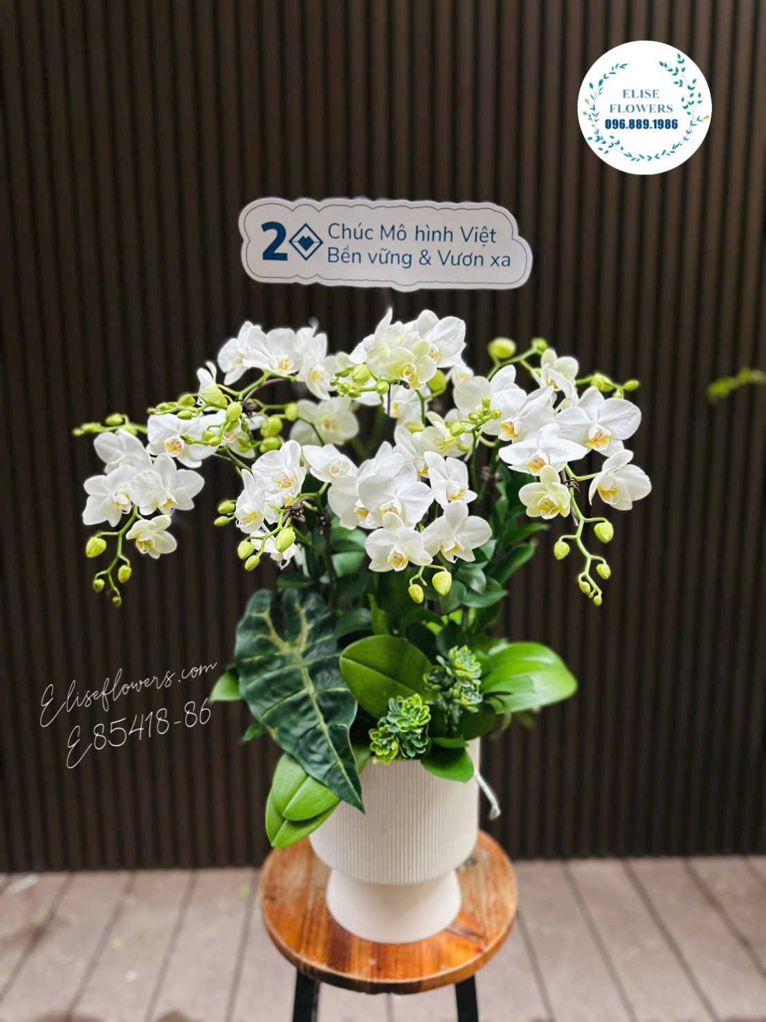 Chậu lan hồ điệp trắng đẹp chúc mừng kỉ niệm tại quận Ba Đình