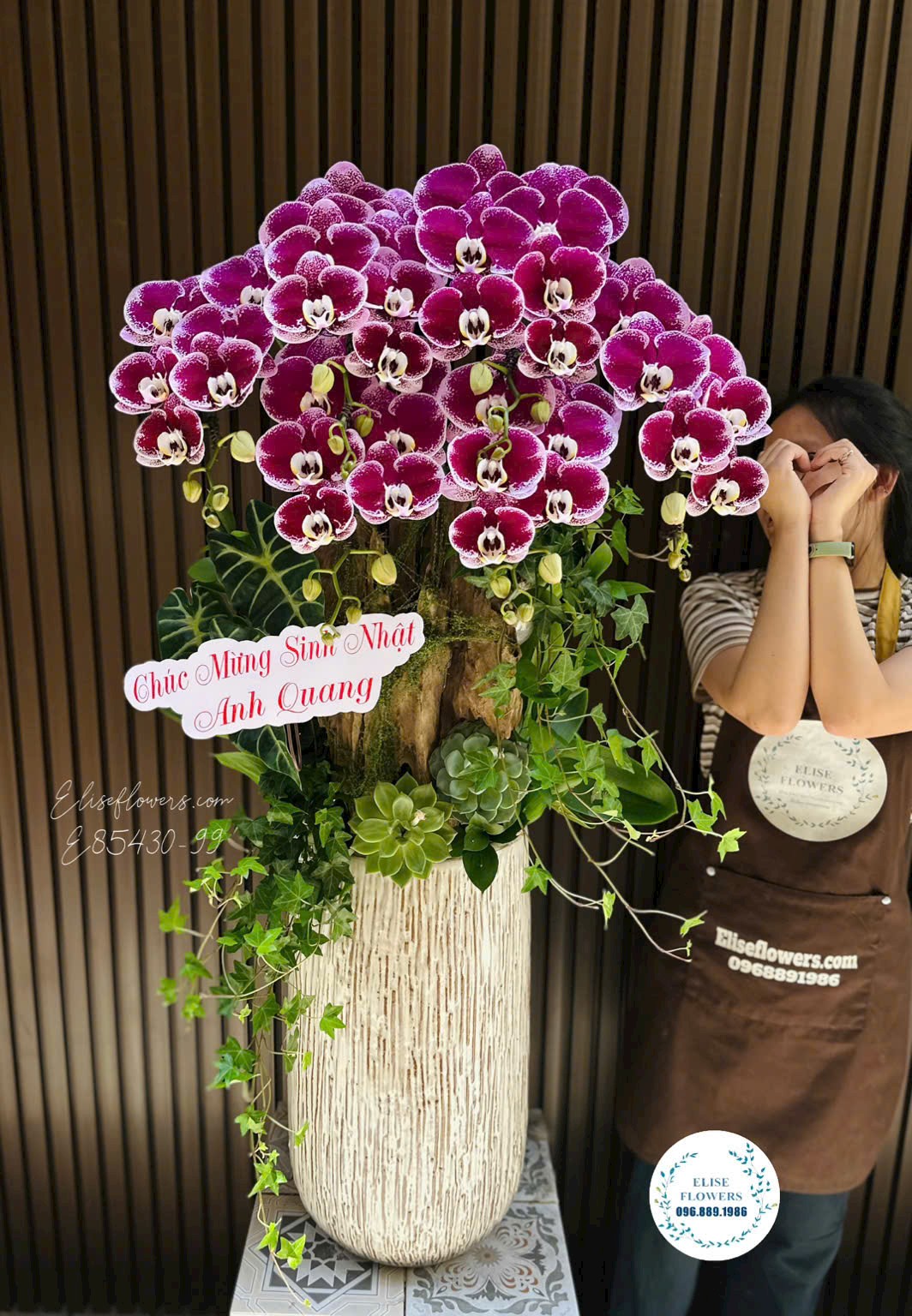 Chậu Lan Hồ Điệp Tím Cao Cấp Tặng Sinh Nhật Sếp Tại Eliseflowers
