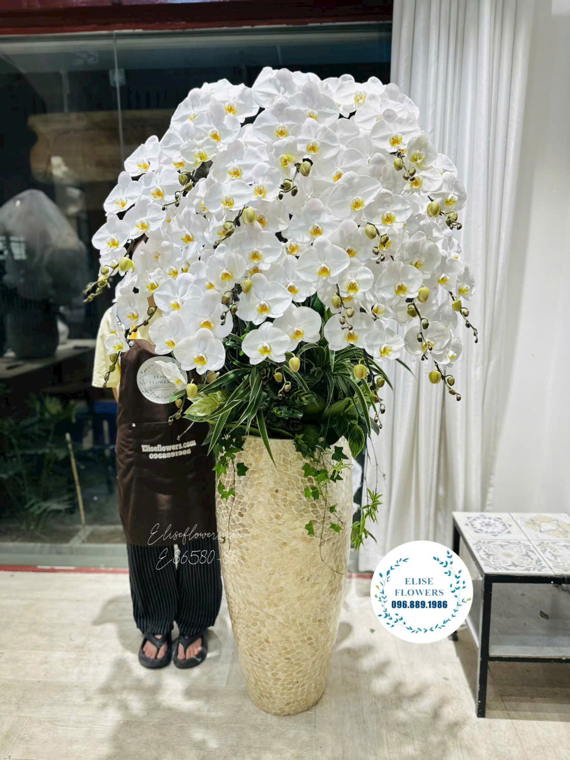 Chậu lan hồ điệp trắng cao cấp trang trí sảnh tại Eliseflowers