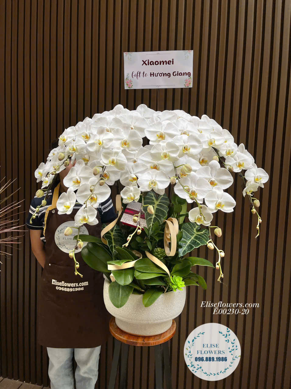 Chậu Lan Hồ Điệp Trắng 9 Cành Cao Cấp - Elise Flowers Cầu Giấy