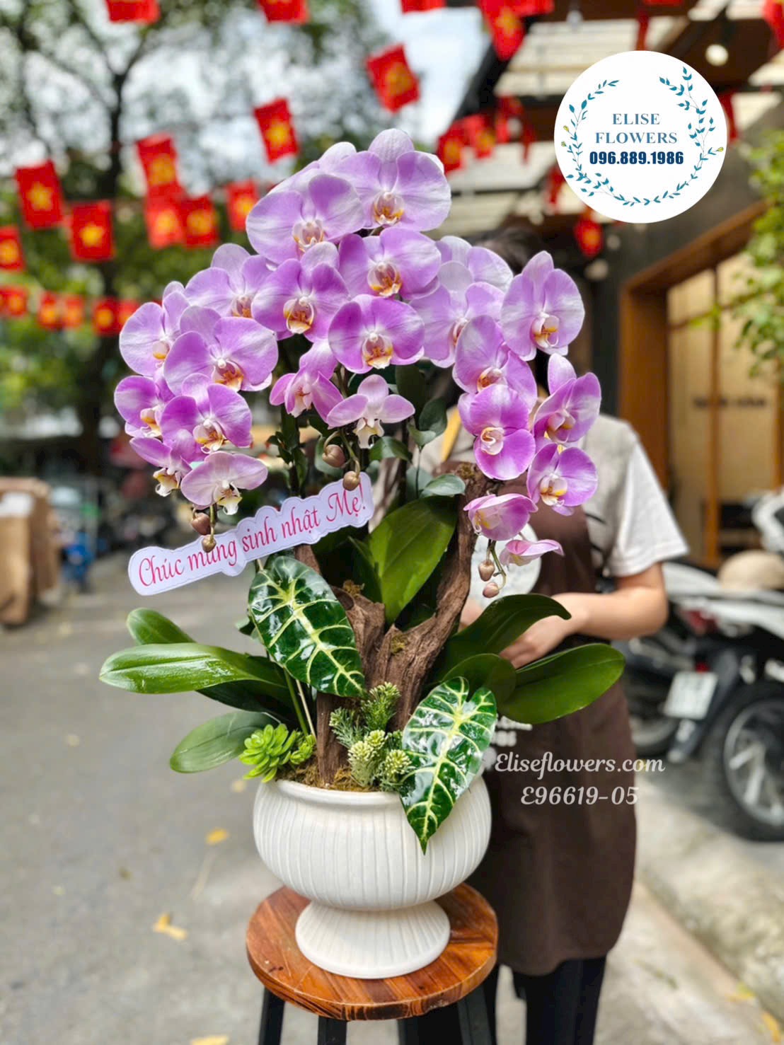 Chậu Lan Hồ Điệp Tím Cao Cấp Tặng Mẹ- Món Quà Ý Nghĩa Và Sang Trọng