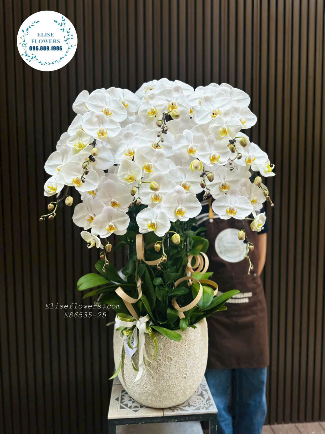 Chậu Lan Hồ Điệp Trắng Sang Trọng- Quà Mừng Sinh Nhật Sang Trọng Và Ý Nghĩa.