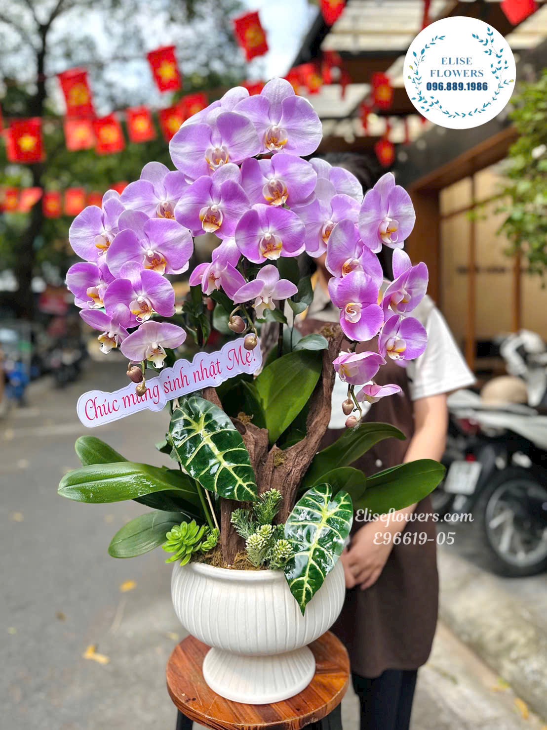 Chậu Lan Hồ Điệp Tím Cao Cấp Tặng Mẹ- Món Quà Ý Nghĩa Và Sang Trọng