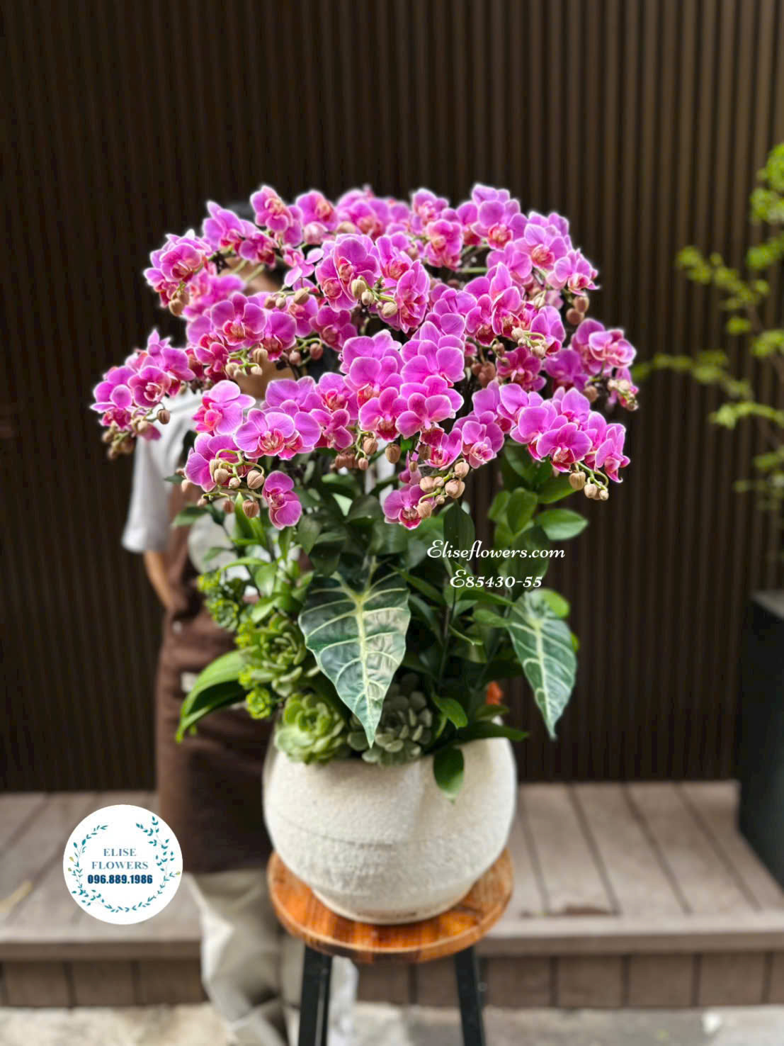 Chậu lan hồ điệp tím sang trọng làm quà tặng| Eliseflowers