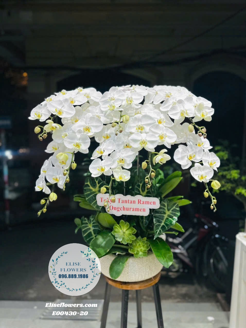 Chậu Lan Hồ Điệp Trắng Cao Cấp Mừng Khai Trương Tại Eliseflowers