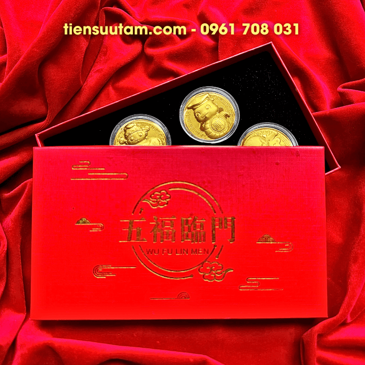 Hộp Quà Tặng 5 Đồng Xu Hình Con Rắn Mạ Vàng May Mắn