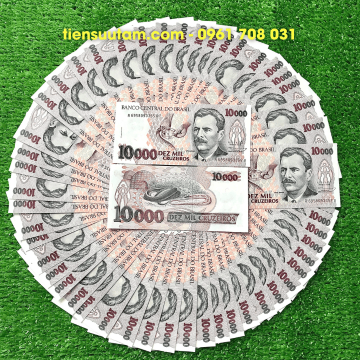 Tiền Lì Xì Con Rắn Brasil