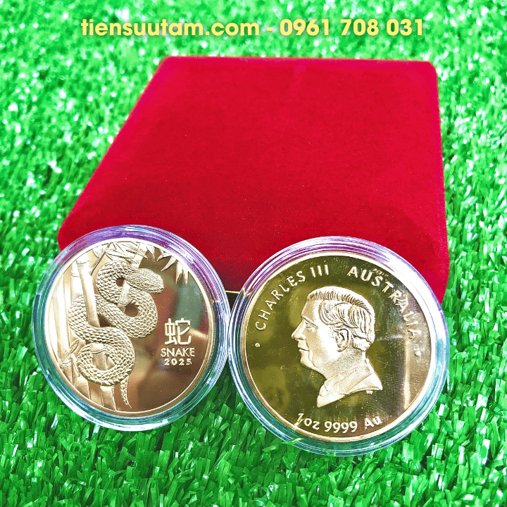 Xu Úc Hình Con Rắn Mạ Vàng Kèm Hộp Đựng Sang Trọng