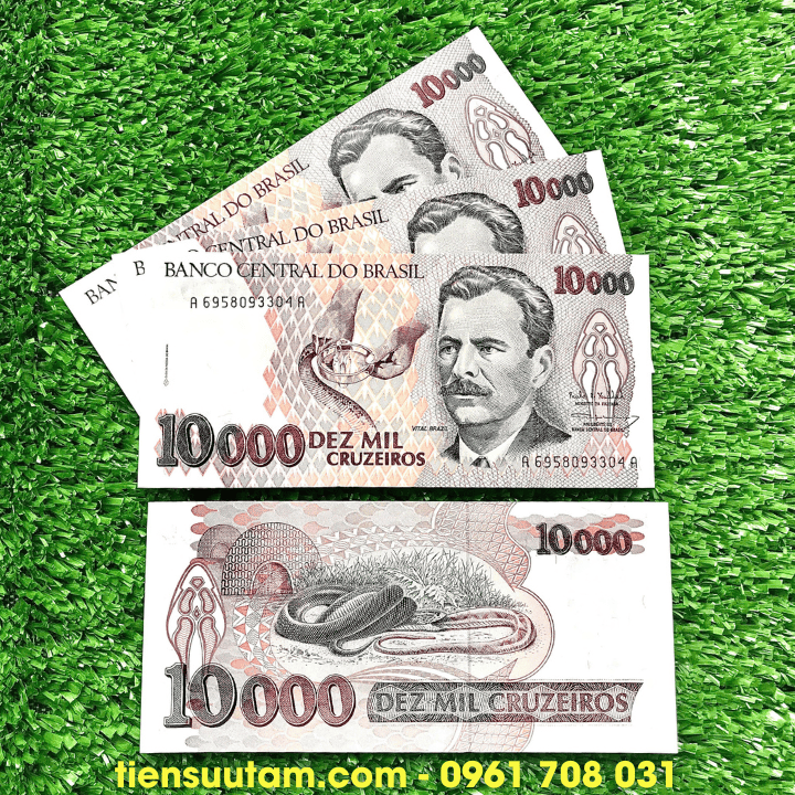 Tiền Lì Xì Con Rắn Brasil