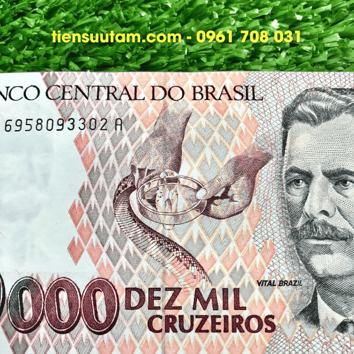 Tiền Lì Xì Con Rắn Brasil