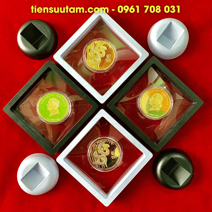 Khung Trưng Bày Xu Con Rắn Mạ Bạc