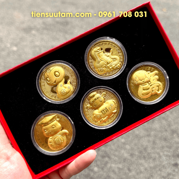 Hộp Quà Tặng 5 Đồng Xu Hình Con Rắn Mạ Vàng May Mắn