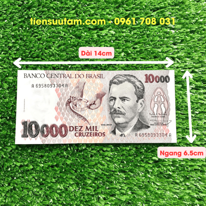Tiền Lì Xì Con Rắn Brasil