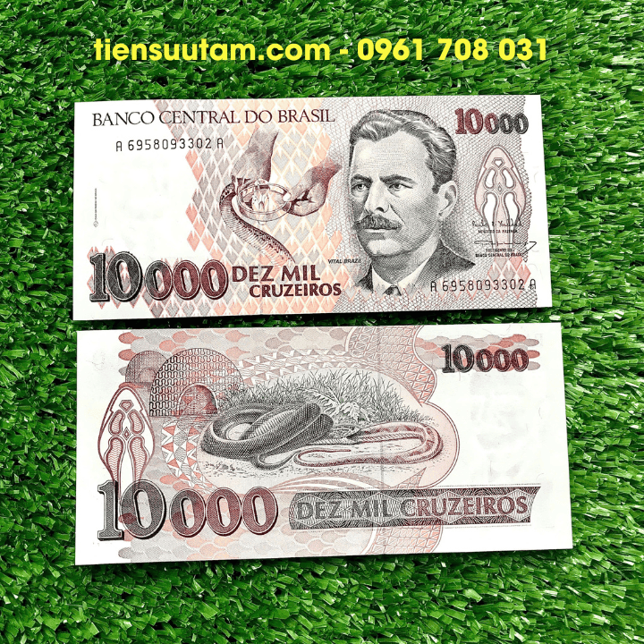 Tiền Lì Xì Con Rắn Brasil