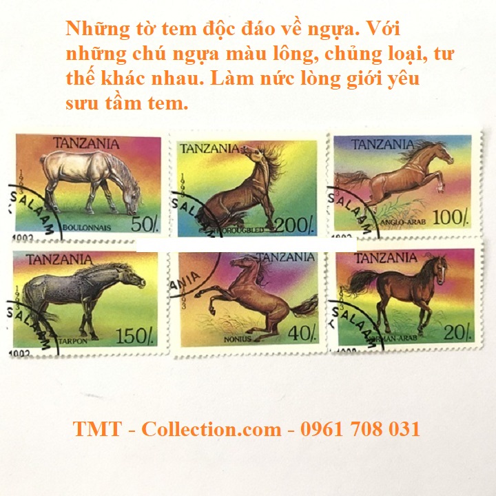 Bộ tem sưu tầm 100 tem chủ đề Ngựa​​​​​​​ - TMT Collection.com