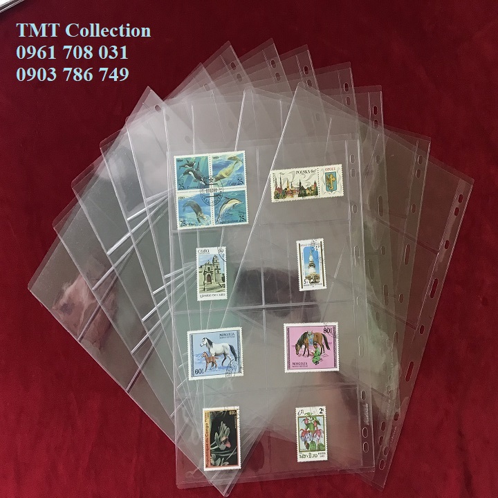 Combo 5 Phơi 8 ngăn trong đựng thẻ - TMT Collection.com