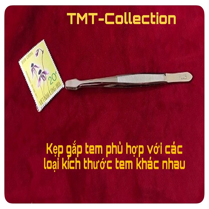 Kẹp Gắp Tem 15cm chính hãng PCCB - TMT Collection.com