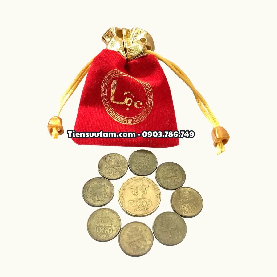 Combo Phong Thuỷ 1 Xu 5.000 & 8 Xu 1.000 Năm 2003 Tặng Túi Gấm Lộc