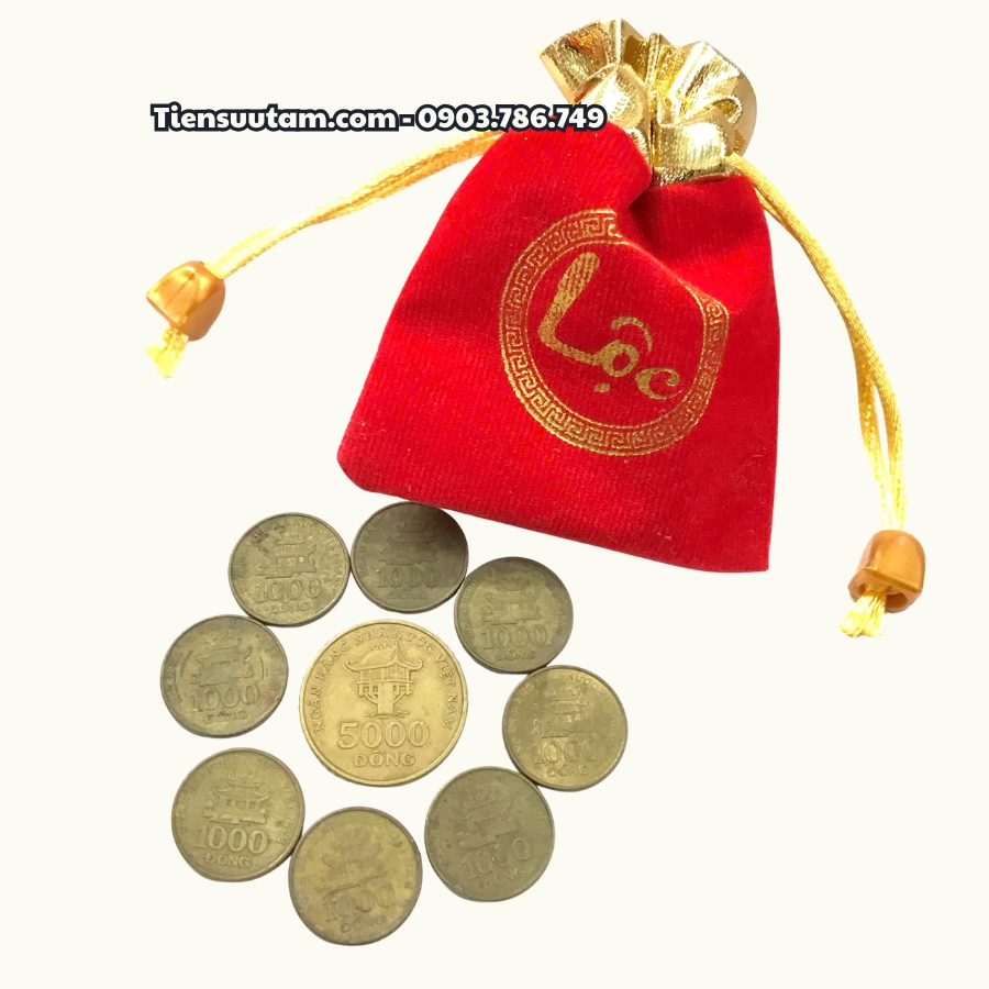 Combo Phong Thuỷ 1 Xu 5.000 & 8 Xu 1.000 Năm 2003 Tặng Túi Gấm Lộc