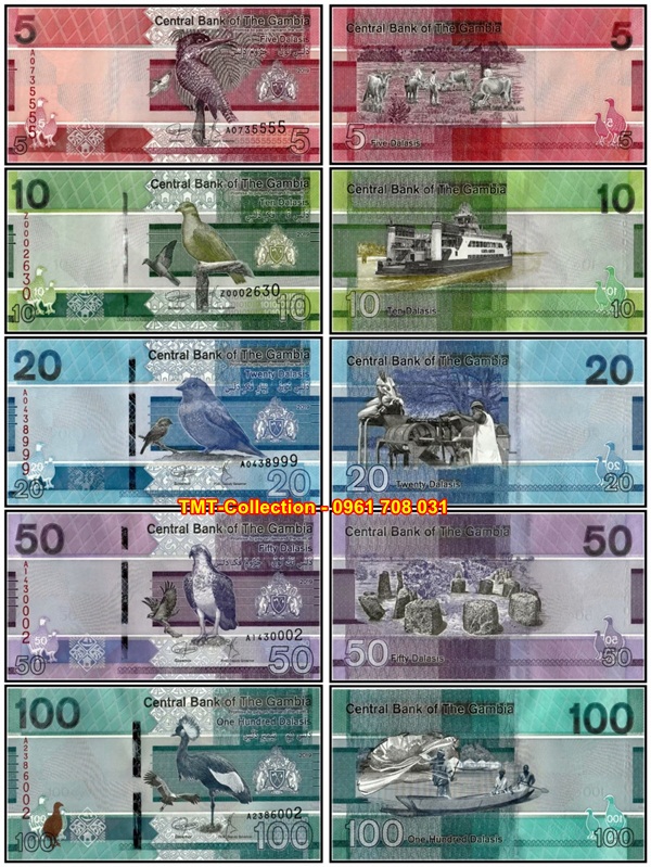 Bộ 5 tờ Gambia 5, 10, 20, 50, 100 Dalasi 2019