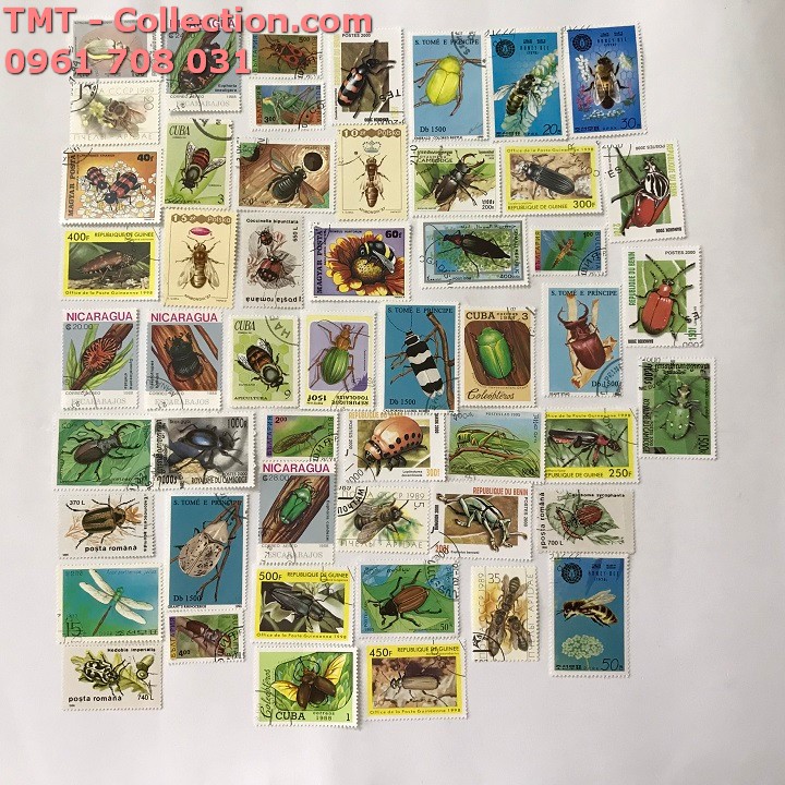 Bộ tem sưu tầm 50 tem chủ đề các loại Côn Trùng​​​​​​​ - TMT Collection.com