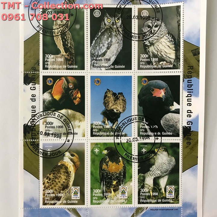 Bộ tem sưu tầm 100 tem chủ đề Chim - TMT Collection.com