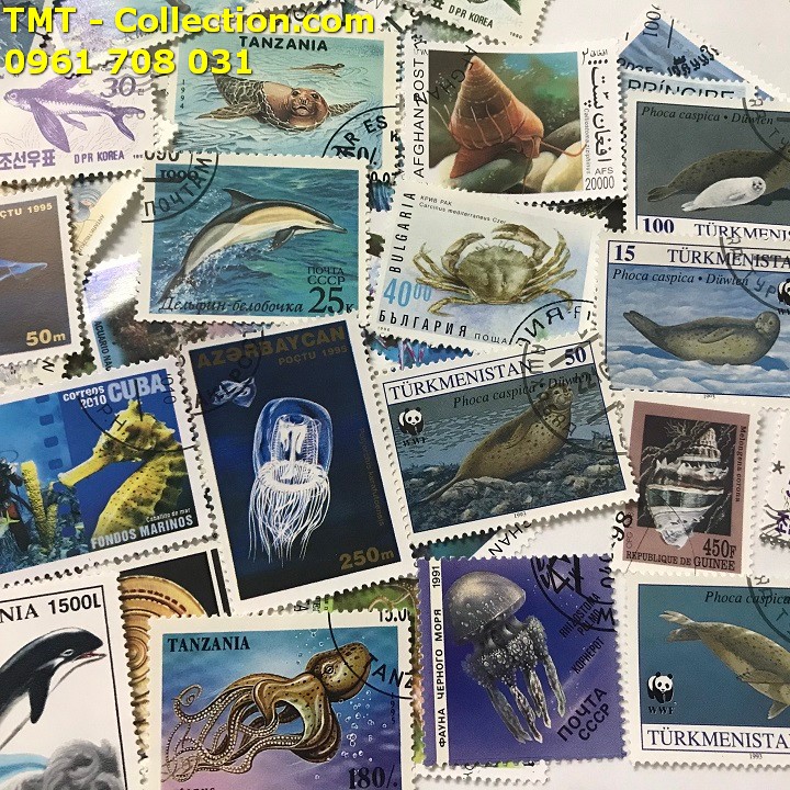 Bộ tem sưu tầm 50 tem chủ đề sinh vật biển - TMT Collection.com