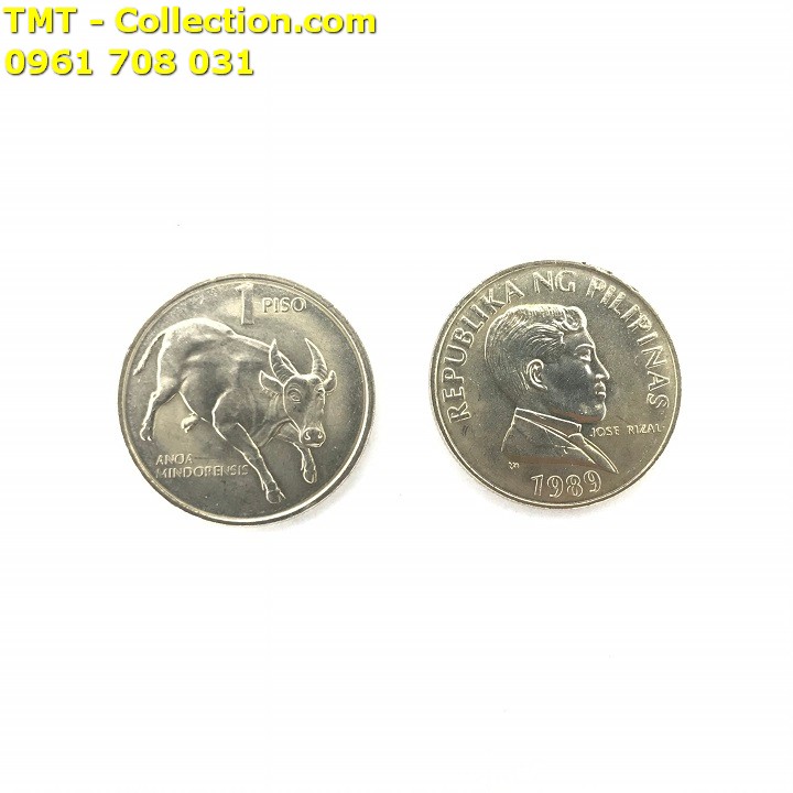 Xu con Trâu 1 piso của Philippines tặng túi gấm - TMT Collection.com