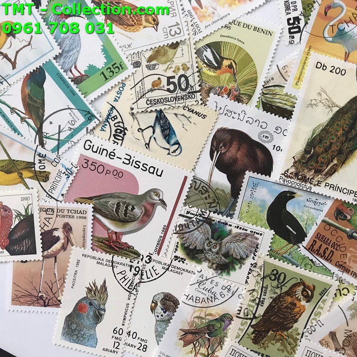 Bộ tem sưu tầm 200 tem chủ đề về Chim - TMT Collection.com