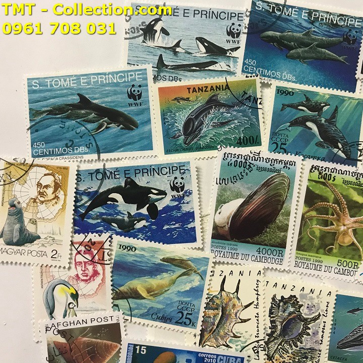 Bộ tem sưu tầm 50 tem chủ đề sinh vật biển - TMT Collection.com