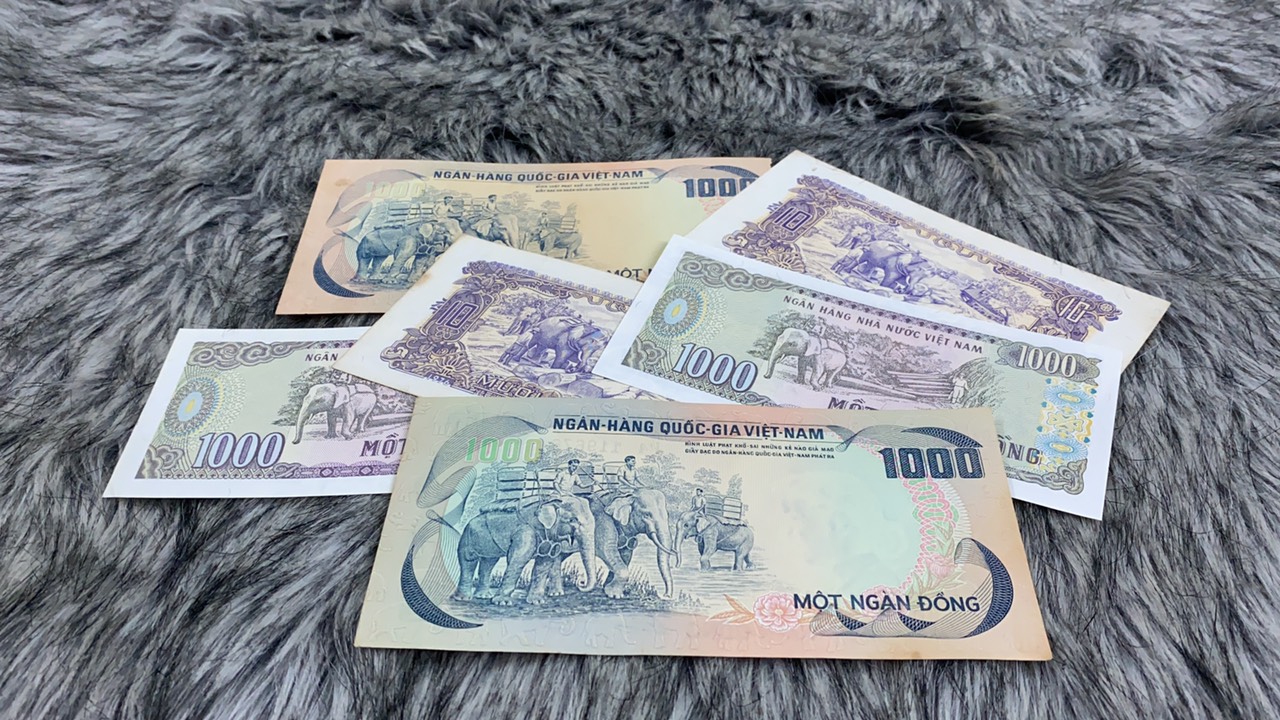 Tiền con voi Bản đôn Tmt collection